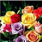 Lorraine Albert - @lasantos0303 - Instagram