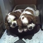 Lorraine Allison - @lorrmall - Instagram