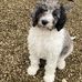 Lorraine Allison - Facebook
