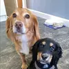 lorrainearmour3 - @lorrainearmour3 - TikTok