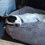 Lorraine Ashton - @lorraineashton45 - Instagram