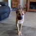 Lorraine Ayers - Facebook