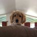 Lorraine Babb - Facebook