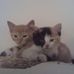 Lorraine Bard - Facebook