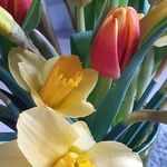 Lorraine Barr - @lorraine.barr.1232 - Instagram