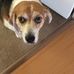 Lorraine Barth - Facebook