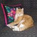 Lorraine Bauman - Facebook