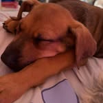 Lorraine Beller - @lorrainebeller - Instagram