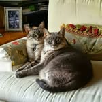 columbuscountyhumanesociety - @lorrainebernstein77 - Instagram