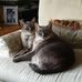 Lorraine Bernstein - Facebook