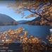 Lorraine Mitchell Bowser - Facebook