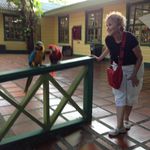 Lorraine Blum - @rainsgreatdays - Instagram