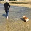 Lorraine Blumenthal - @lorraine.blumenth5 - TikTok