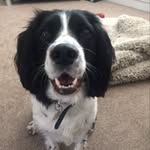 Lorraine Bond - @lorraine.bond1 - Instagram