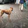 lorraine.bond - @lorraine.bond - TikTok
