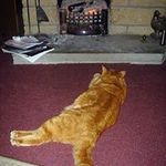 Lorraine Bowman - @lorraine28_2006 - Instagram