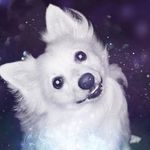 Lorraine Branch-Frost - @branchfrostlorraine - Instagram