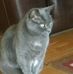 Lorraine Buck - Facebook