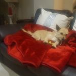 lorraine buck - @lorrainebuck5694 - Instagram