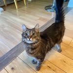 Lorraine Buckley - @lorrainebuckley507 - Instagram