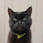 Lorraine Kitty Kelly Buckley - @lorraine.buckley1 - Instagram
