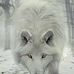 Lorraine Burroughs - Facebook