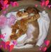 Lorraine Burrows - Facebook