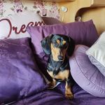 Lorraine Burrows - @burrowslorraine - Instagram