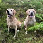 Lorraine Burt - @mummyb1709 - Instagram