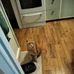 Lorraine Button - Facebook