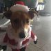 Lorraine Callaghan - Facebook