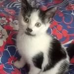 lorraine ann calvert - @lorraineanncalvert - Instagram