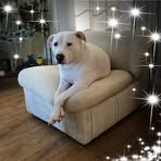Lorraine Collard - Facebook