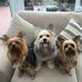 Lorraine Coyne - Facebook