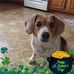 Lori Conger - Facebook