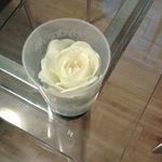 Lorraine Cope - @copelorraine - Instagram