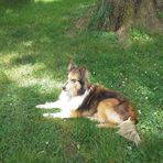 Lorraine Menefee-Cramer - Facebook