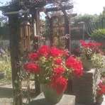 Lorraine Cuthbertson - Facebook