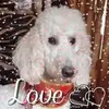 Lorraine Dawson937 - @lorrainedawson937 - TikTok