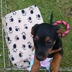 Lorraine Dawson - @crossstitchfave - Instagram
