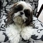 Lorraine Dawson - @super_nan_56 - Instagram