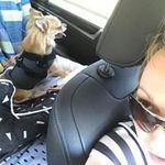 Lorraine Dempsey - @l_dempso - Instagram