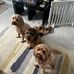 Lorraine Dempsey - Facebook