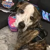 Lorraine Dempsey - @jessica.lildt - TikTok
