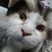Lorraine Venice Laya Dioneda - Facebook