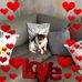 Lorraine Downie - Facebook