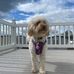 Lorraine Downie - Facebook