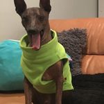 Lorraine Easter - @lorraine.easter.54 - Instagram