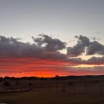 Donna Lorraine Eddy - @donzie2 - Instagram