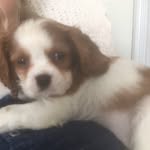 Lorraine Davis Keddy - @keddylorraine - Instagram